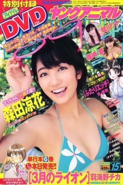 追光的日子电视剧